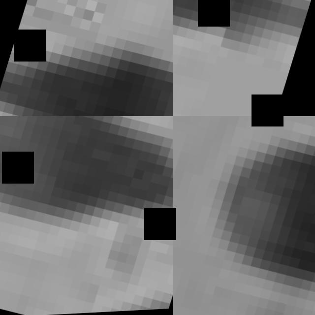 Dataset Image