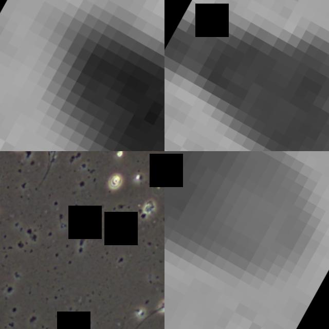 Dataset Image