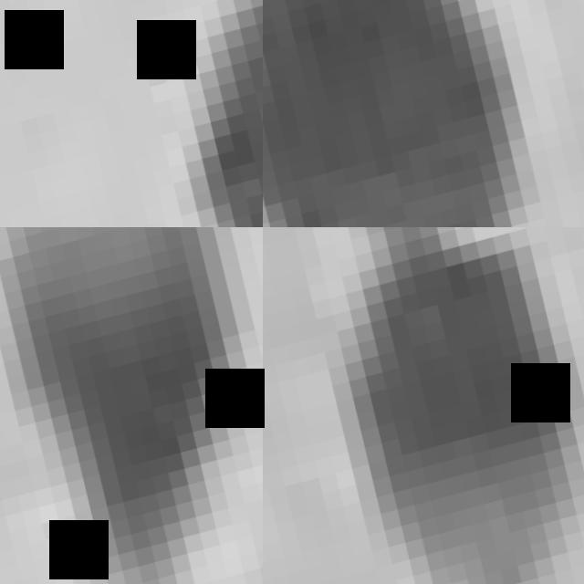 Dataset Image