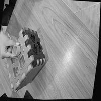 Dataset Image