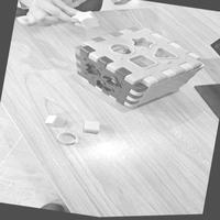Dataset Image