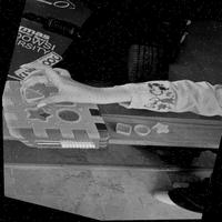 Dataset Image