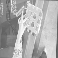 Dataset Image