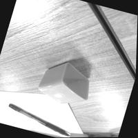 Dataset Image