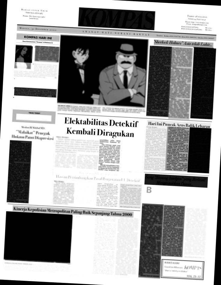 Dataset Image