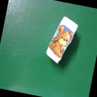 Dataset Image