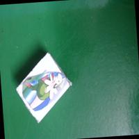 Dataset Image