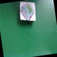 Dataset Image