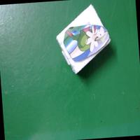 Dataset Image