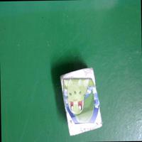 Dataset Image