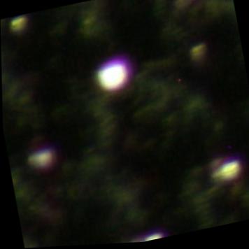 Dataset Image