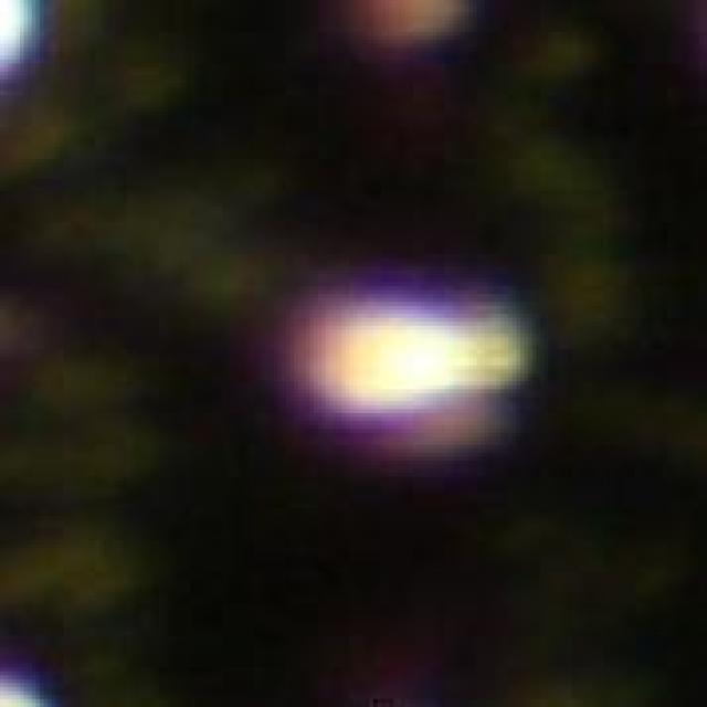 Dataset Image