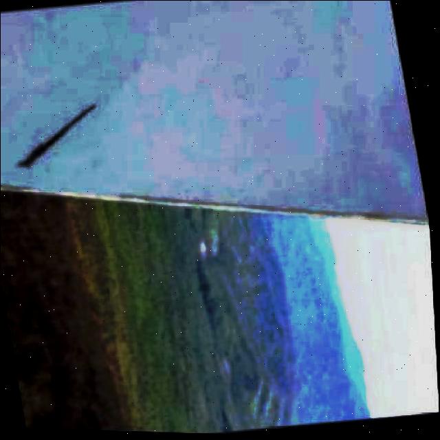 Dataset Image