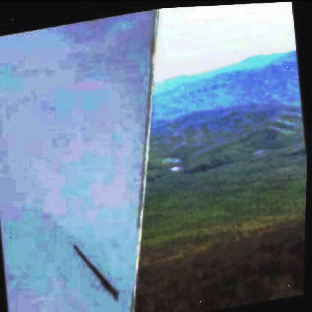 Dataset Image