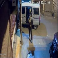 Dataset Image