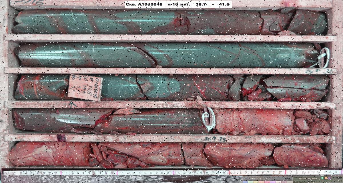 Dataset Image