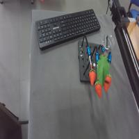 Dataset Image