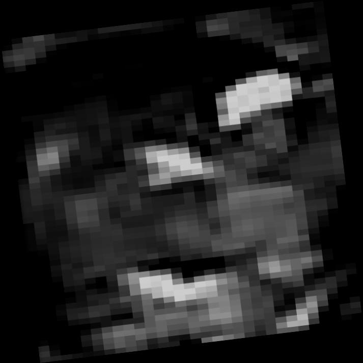 Dataset Image