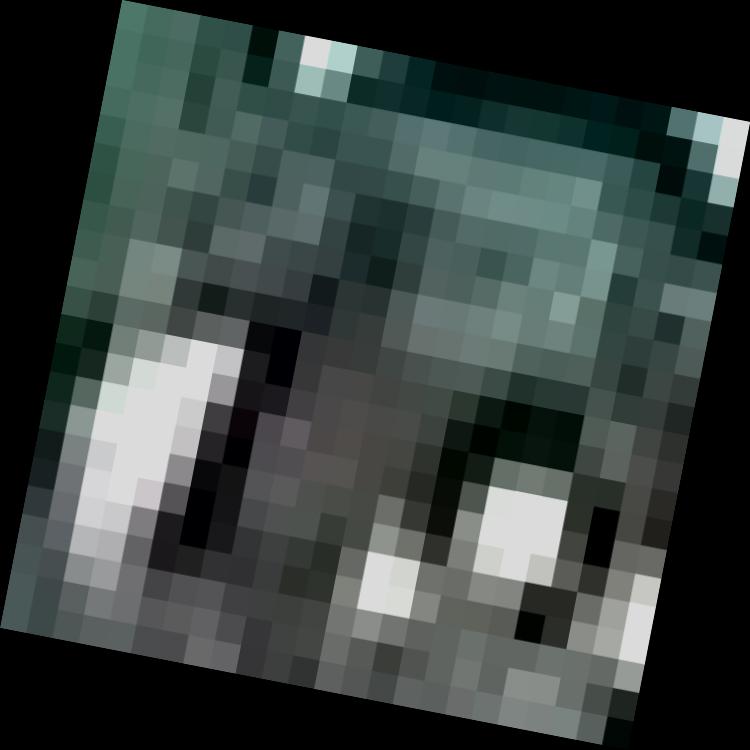 Dataset Image