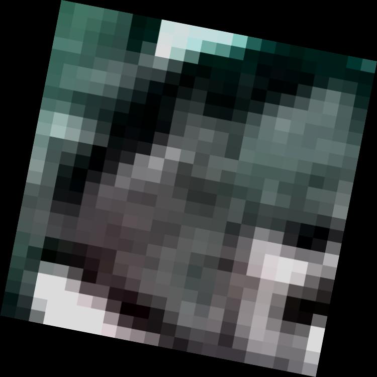 Dataset Image