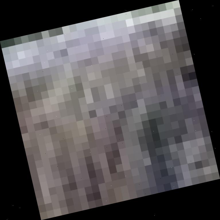 Dataset Image