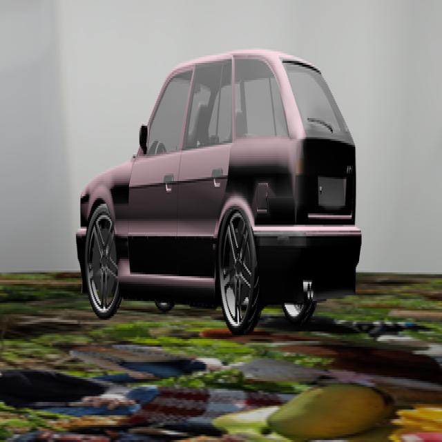 Dataset Image
