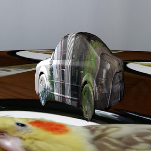 Dataset Image