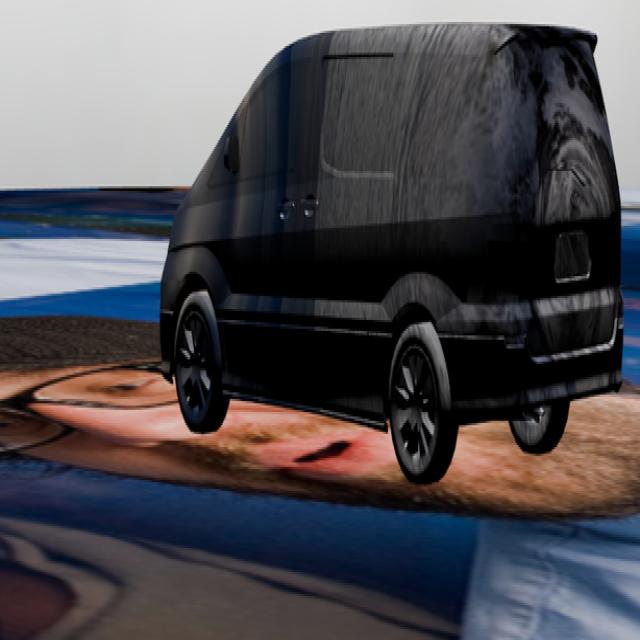 Dataset Image