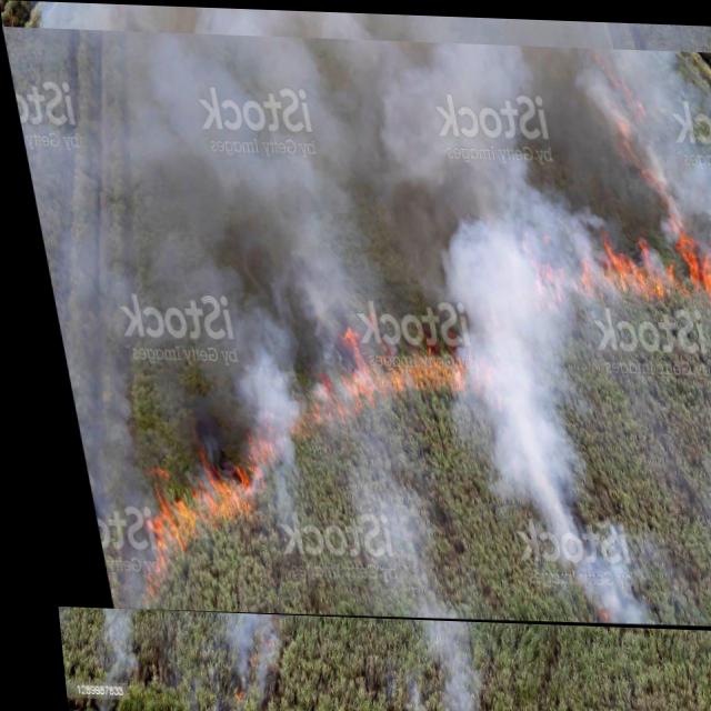 Dataset Image