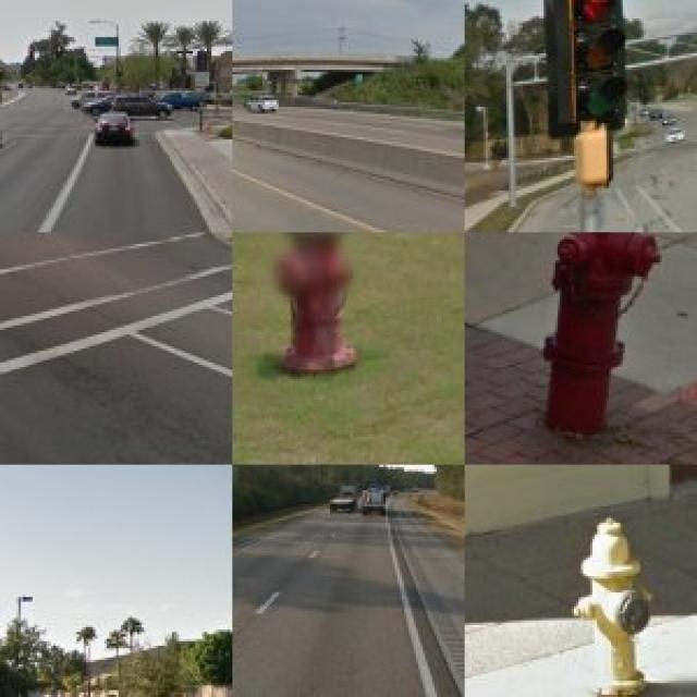 Dataset Image