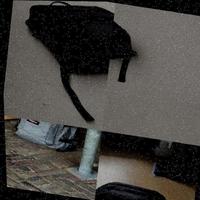 Dataset Image