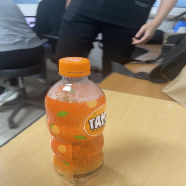 Dataset Image