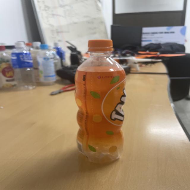 Dataset Image