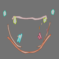 Annotation Visualization