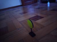 Dataset Image