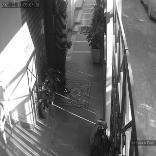 Dataset Image