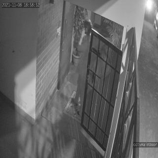 Dataset Image