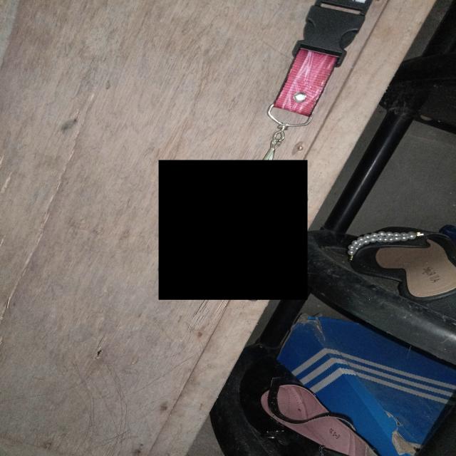 Dataset Image