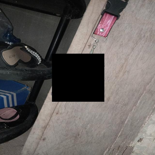 Dataset Image