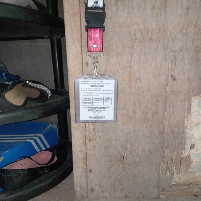 Dataset Image
