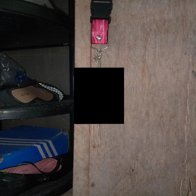 Dataset Image