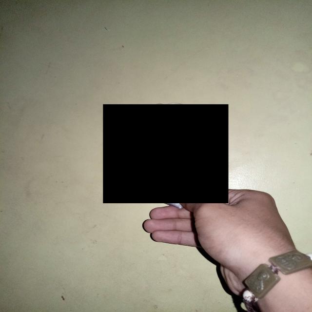 Dataset Image