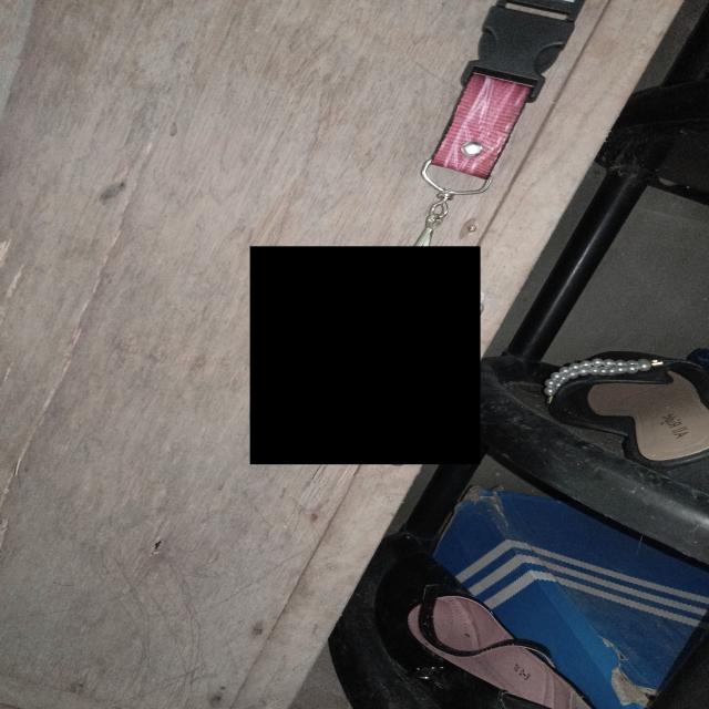 Dataset Image
