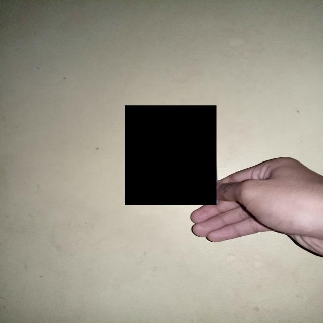Dataset Image
