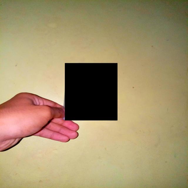Dataset Image