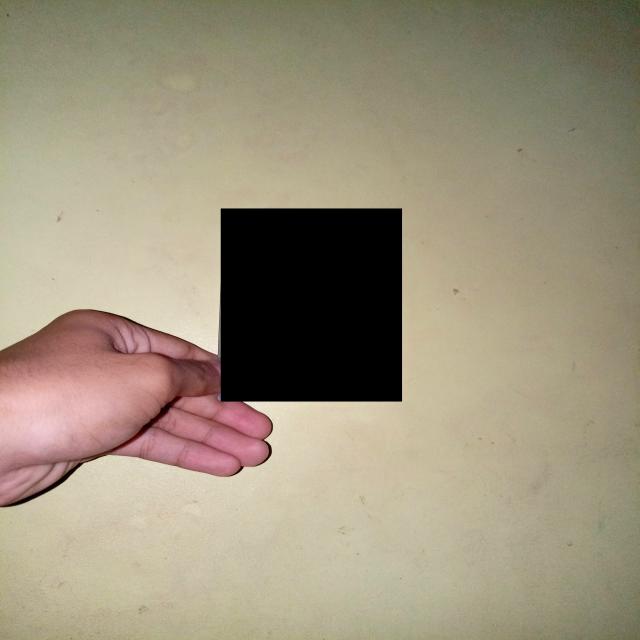 Dataset Image
