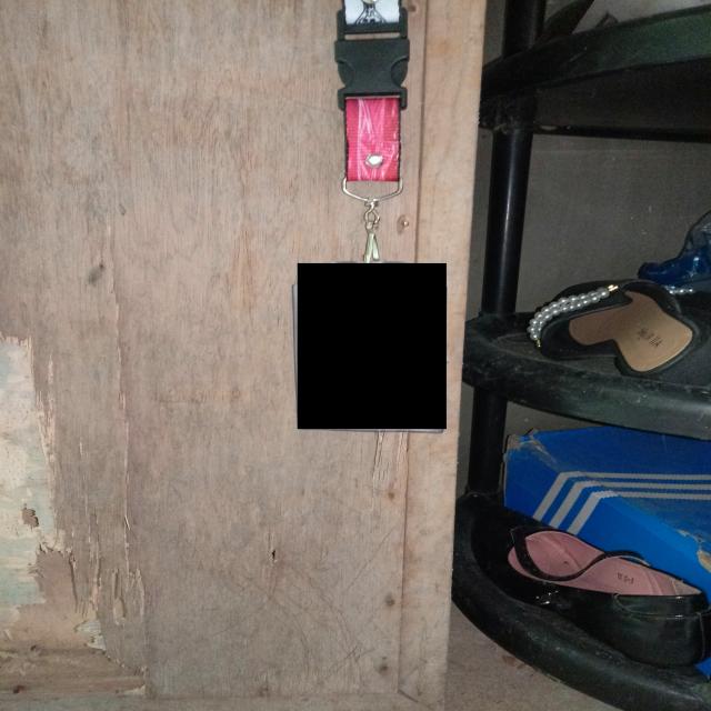 Dataset Image