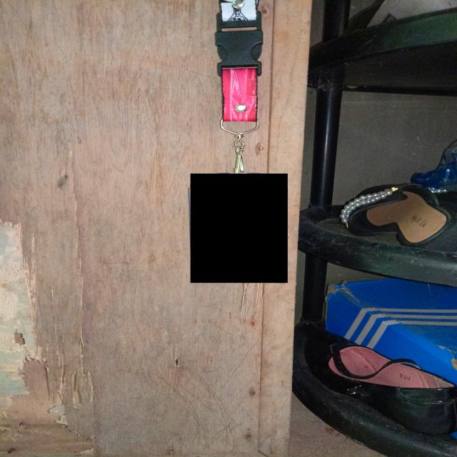 Dataset Image