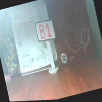 Dataset Image