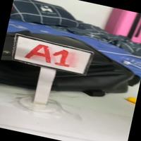 Dataset Image